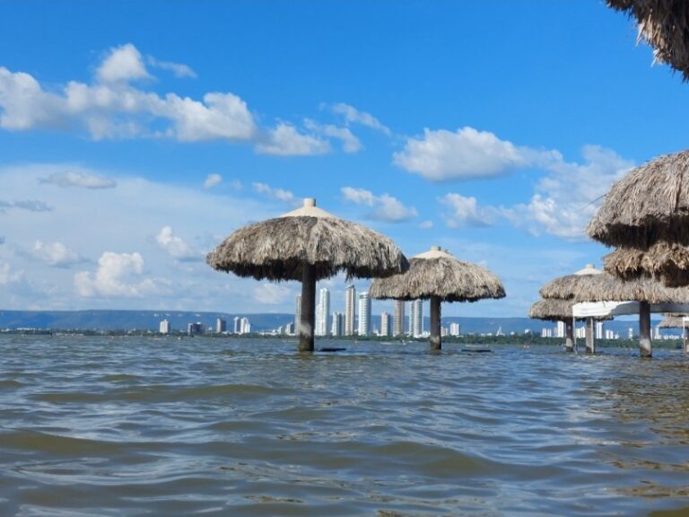 Se você está pesquisando sobre o que fazer em Palmas provavelmente