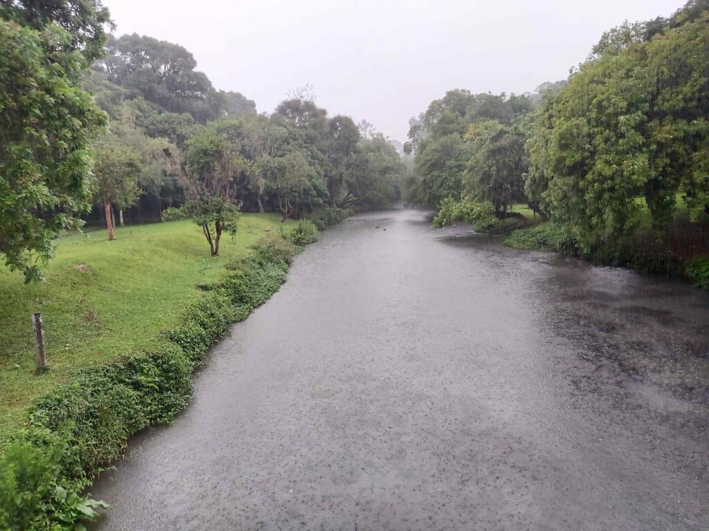Parque Barigui, em Curitiba