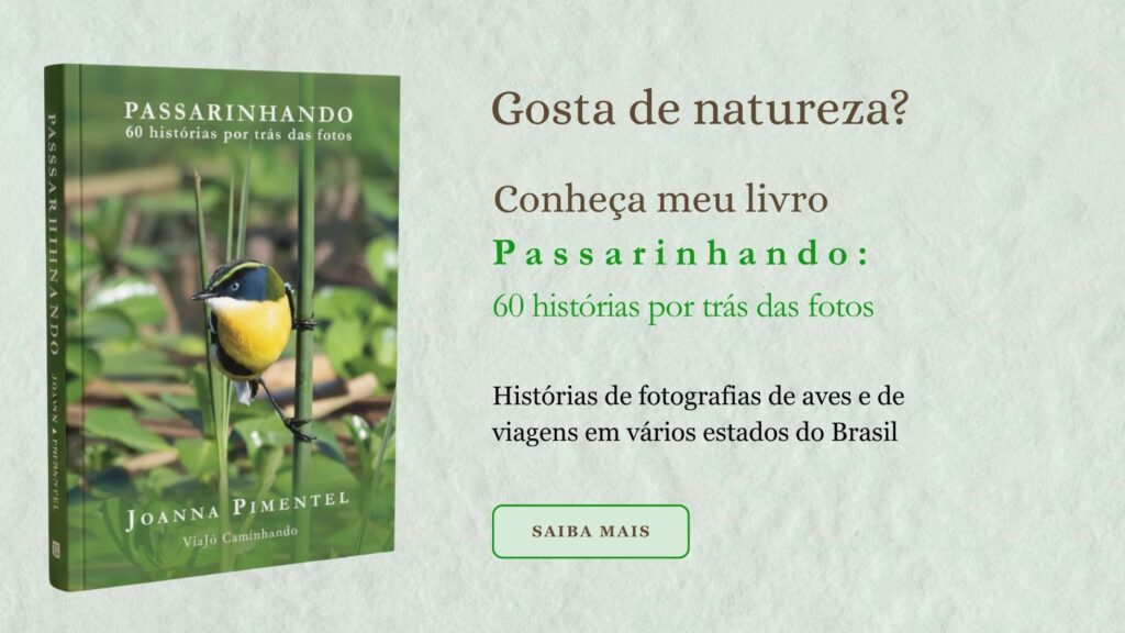 Livro Passarinhando